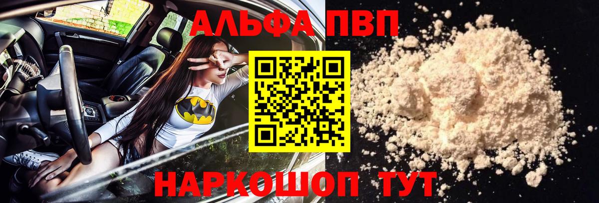 Альфа ПВП СК КРИС Курчалой