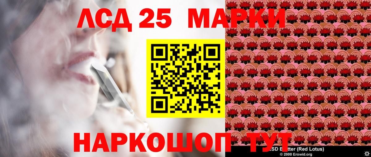 Наркотические марки 1,5мг  Наркотические марки 1,5мг  Курчалой  Вход с VPN 
