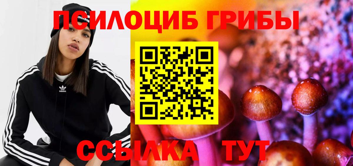 Псилоцибиновые грибы ЛСД Курчалой